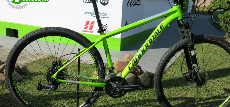 Conheça a Cannondale Trail 4