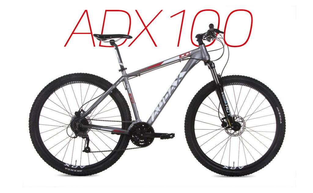 Modelo de entrada Audax ADX 100